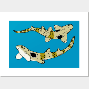 Epaulette Sharks Posters and Art